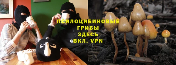 кокаин колумбия Заводоуковск